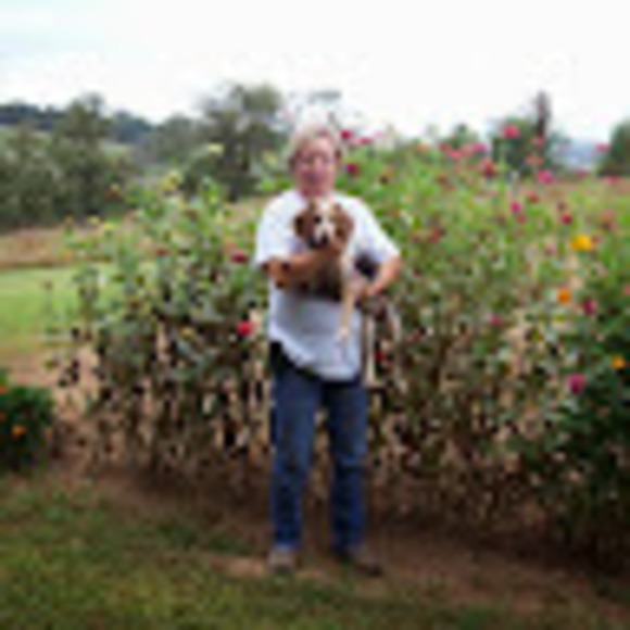 Meet your Posher, Evelyn - Picture 1 of 1